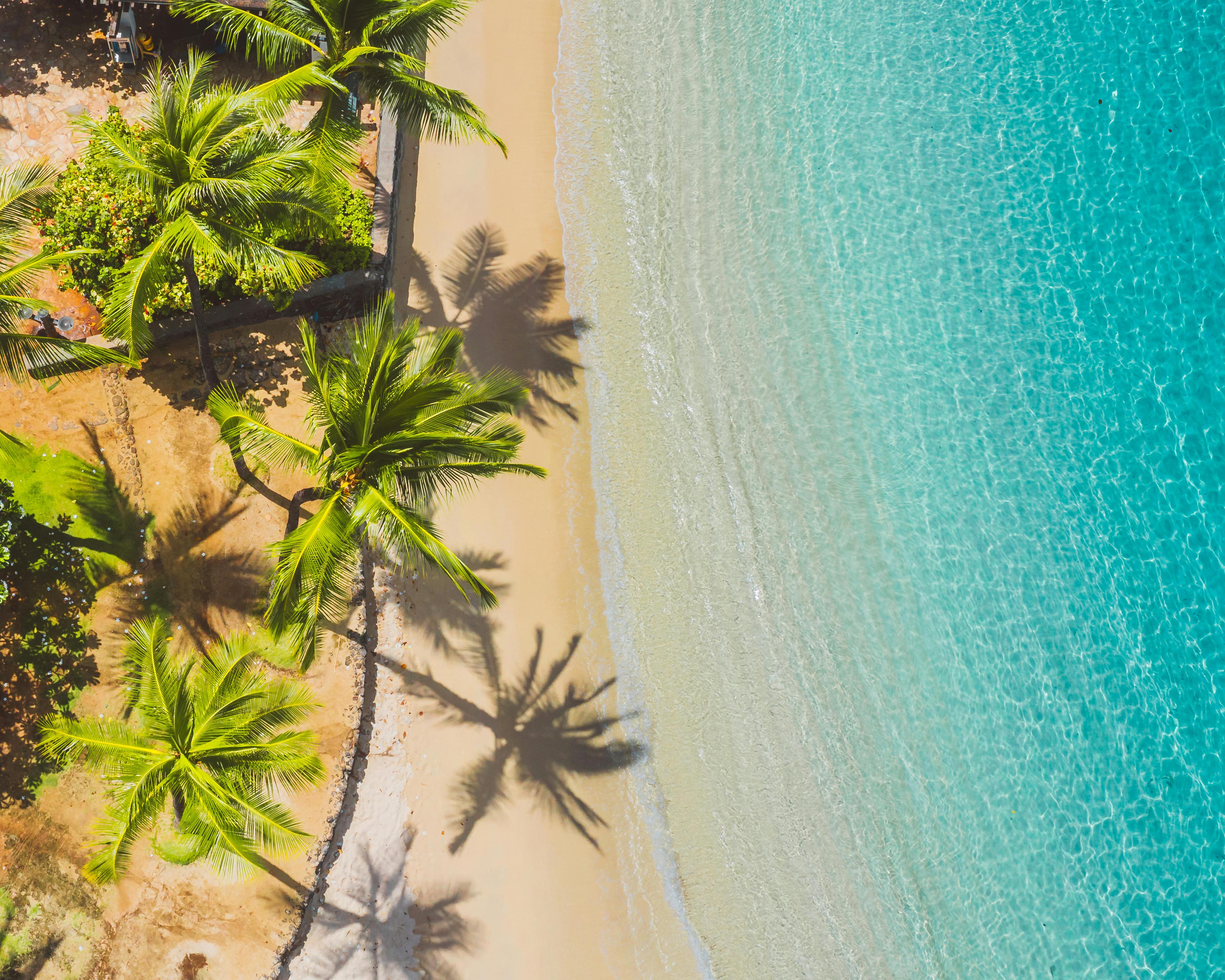MauiImage